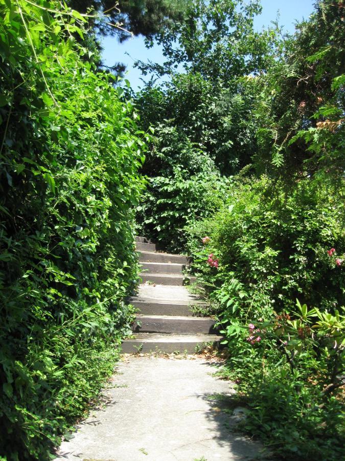 Appartement Danube View House With Garden Vienne